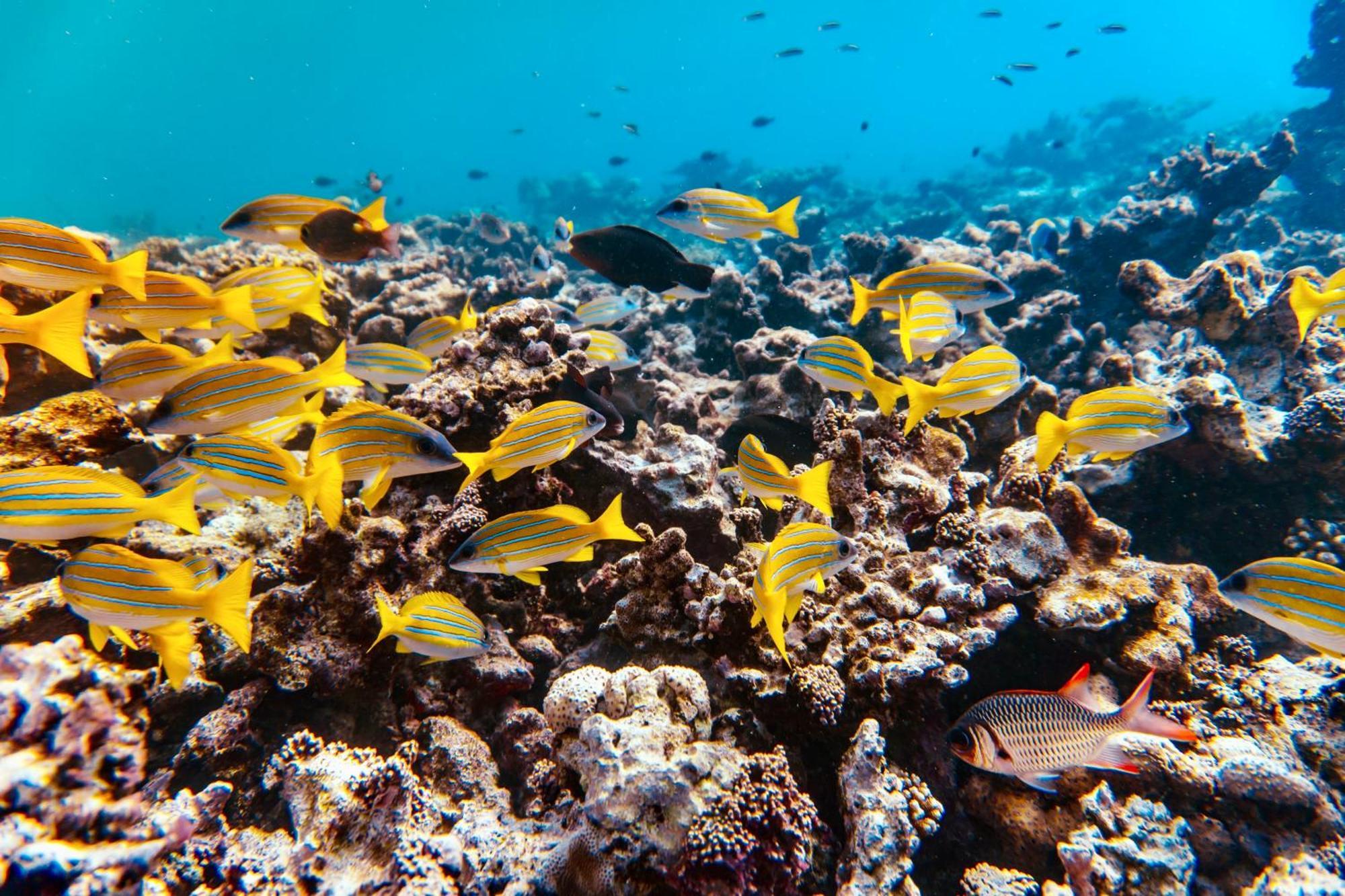 Crystal Sea Inn Bileffahi Eksteriør bilde